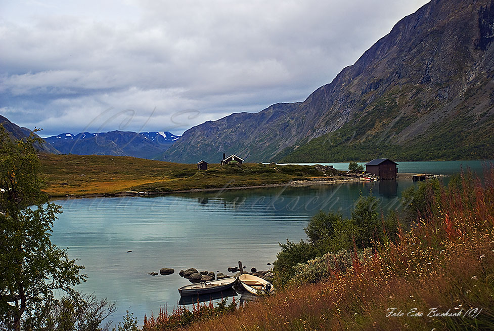 Foto av Eva Bucksch